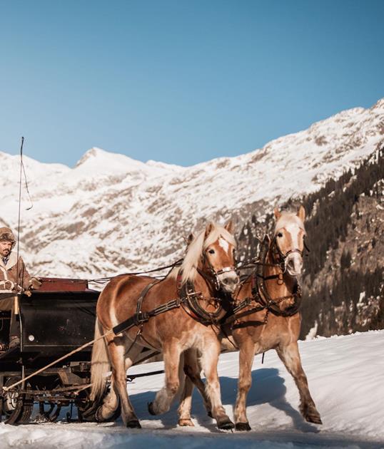 009-tvratschings-family-kottersteger-250204-kot-5619