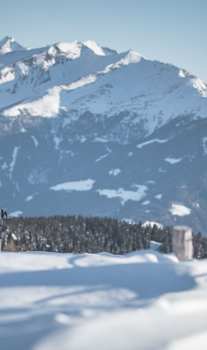 010-tvratschings-kottersteger-190206-kot-4124