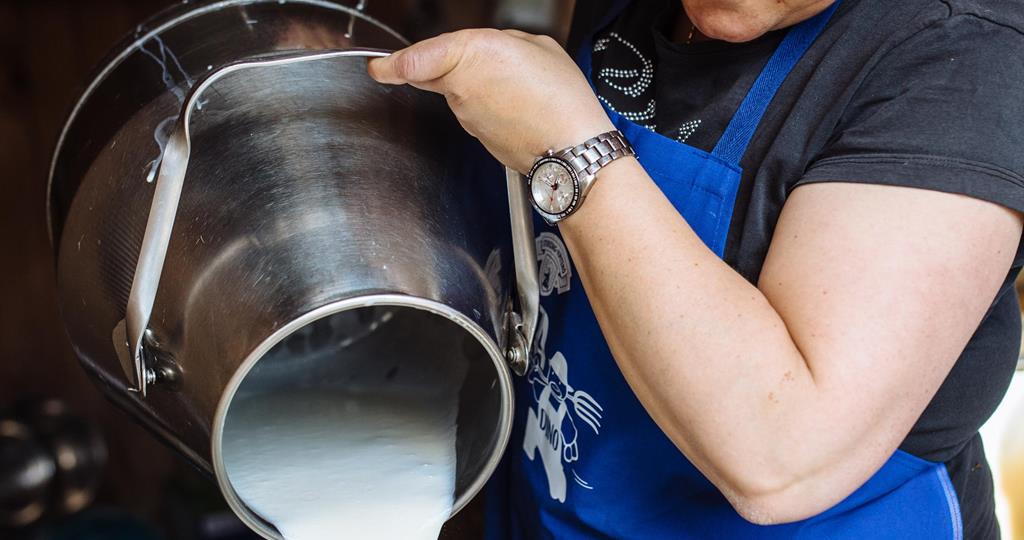 Explore the world of yogurt