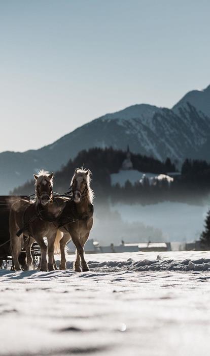 012-tvratschings-family-kottersteger-250204-kot-5910