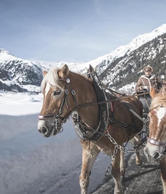 tv-ratschings-winter-kutschenfahrt-kot-6825