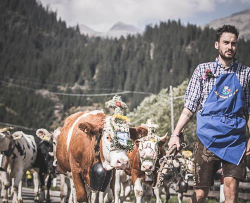 almabtrieb-header-2-gross